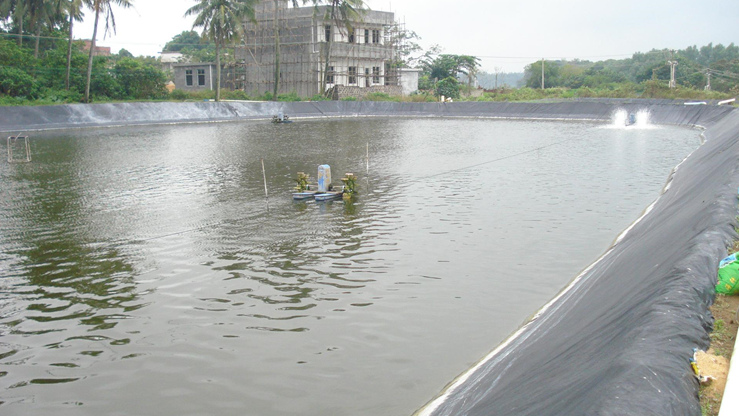 洪雅縣圣母廟花溪河河道治理工程